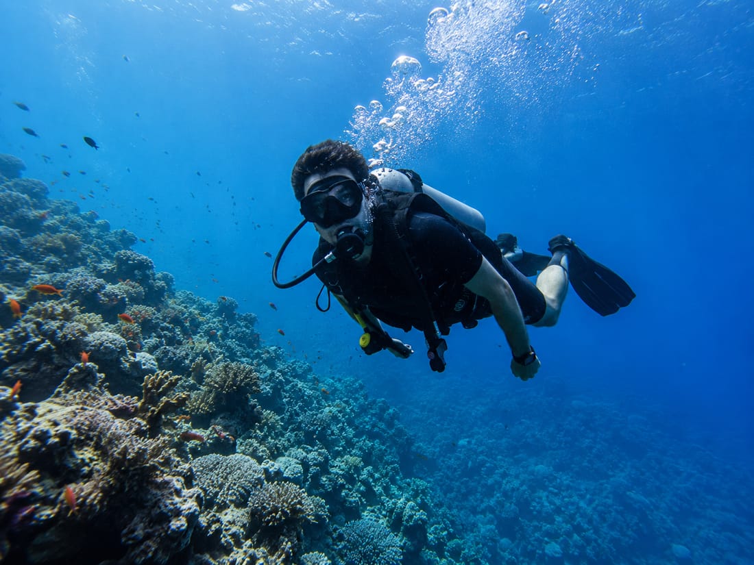 Buceo entre corales
